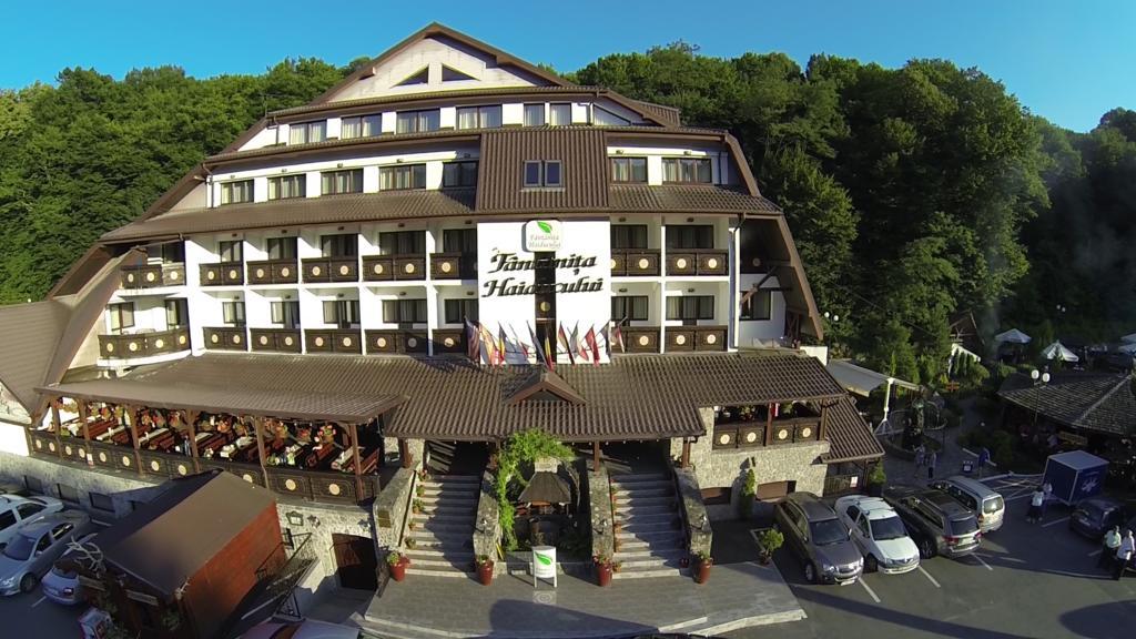Hotel Fantanita Haiducului Bradu  Exterior foto